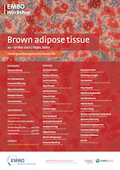 Brown adipose tissue EMBO